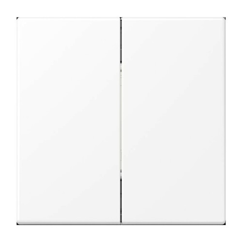 Jung Matter Taster 2-fach 4k LS schneeweiß m MAT LS 995 WWM Jung Matter Taster 2-fach 4k LS schneeweiß m MAT LS 995 WWM