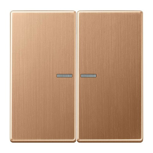 Jung Wippe 2-fach ch mit Lichtleiter BRG 2995 KO5 Jung Wippe 2-fach ch mit Lichtleiter BRG 2995 KO5