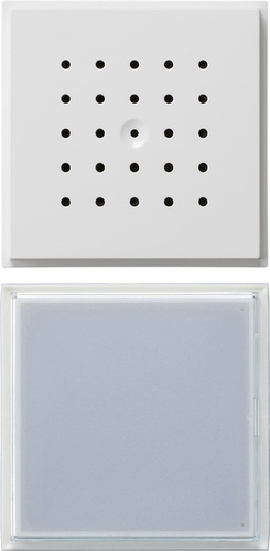 Gira Türstation UP 1-fach ch reinweiß 126066