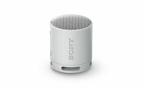 Sony Bluetooth-Lautsprecher portable, gr SRSXB100H.CE7