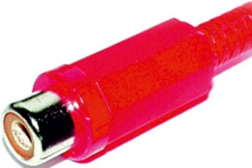 E+P Elektrik Cinchkupplung rot CK 1 K LOSE R E+P Elektrik Cinchkupplung rot CK 1 K LOSE R