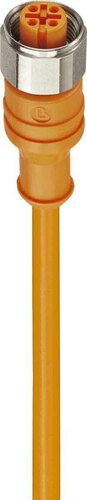 Belden Verbindungsleitung 4p.,M12,25m Kab.PVC PRKT 4-07/25m