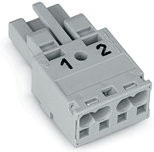 WAGO GmbH & Co. KG Buchse 2-polig Kod. B,grau 770-242