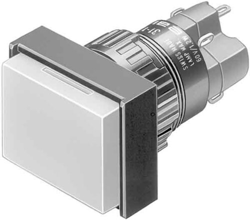 Eao Leuchtdrucktaste 2OE+2S 31-262.0252