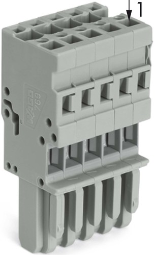WAGO GmbH & Co. KG Federleiste 13pol. grau 769-113
