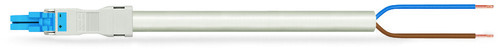 WAGO GmbH & Co. KG konfekt. Anschlussleitung Eca,Buchse 891-8982/116-702