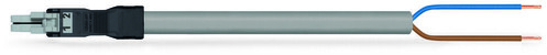 WAGO GmbH & Co. KG konfekt. Anschlussleitung Eca,Buchse 891-8992/105-703