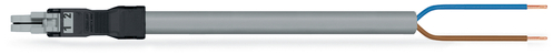 WAGO GmbH & Co. KG konfekt. Anschlussleitung Eca,Buchse 891-8992/106-103