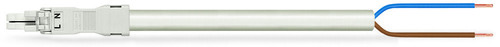 WAGO GmbH & Co. KG konfekt. Anschlussleitung Eca,Buchse 891-8992/106-702