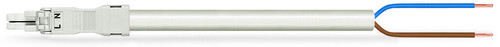 WAGO GmbH & Co. KG konfekt. Anschlussleitung Eca,Buchse 891-8992/116-602