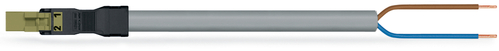WAGO GmbH & Co. KG konfekt. Anschlussleitung Eca,Stecker 891-8992/205-105