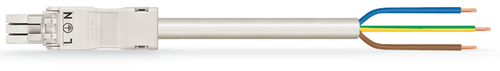 WAGO GmbH & Co. KG konfekt. Anschlussleitung Eca,Buchse 891-8993/106-302