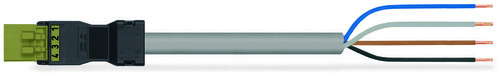 WAGO GmbH & Co. KG konfekt. Anschlussleitung Eca,Stecker 891-8994/205-205 WAGO GmbH & Co. KG konfekt. Anschlussleitung Eca,Stecker 891-8994/205-205
