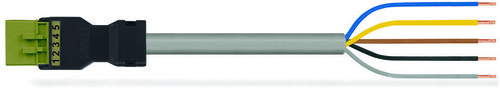 WAGO GmbH & Co. KG konfekt. Anschlussleitung Eca,Stecker 891-8995/205-105 WAGO GmbH & Co. KG konfekt. Anschlussleitung Eca,Stecker 891-8995/205-105