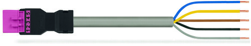 WAGO GmbH & Co. KG konfekt. Anschlussleitung Eca,Stecker 891-8995/205-107 WAGO GmbH & Co. KG konfekt. Anschlussleitung Eca,Stecker 891-8995/205-107