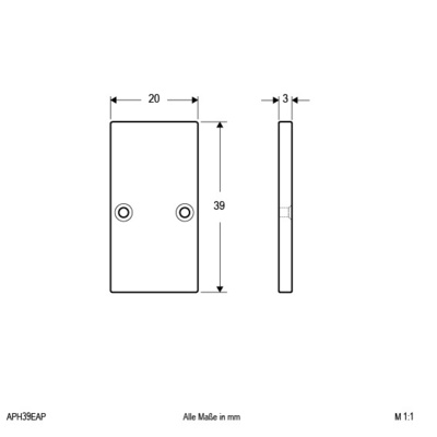 EVN Lichttechnik Endabschlusskappe 1xEAP incl. Schraube APH39EAP alu