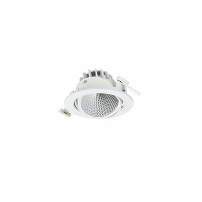 Philips Lighting 3D-LED-Leuchte rose RS353B 27S #58814100