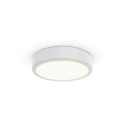 Philips Lighting 3D-LED-Leuchte 930 TCBRMS 19S #86388000