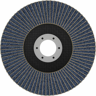 Bosch Power Tools X451 Fächerschleifscheibe, 125 x 22,23 mm K80 2608626177