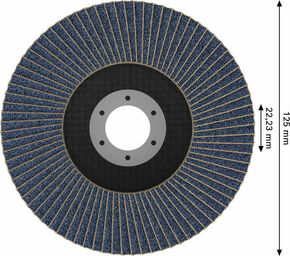 Bosch Power Tools X451 Fächerschleifscheibe, 125 x 22,23 mm K120 2608626182