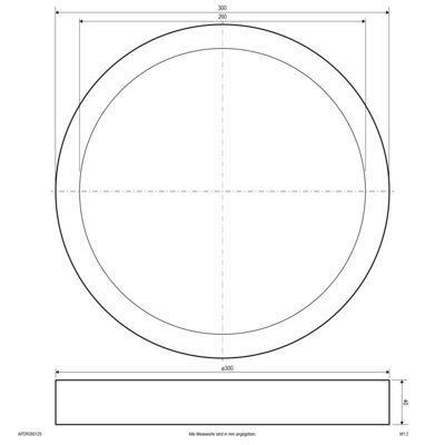 EVN Lichttechnik LED-Anbaupanel APDR300125