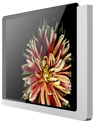 Viveroo iPad Wandhalterung Lack: SuperSilver 510170LAN
