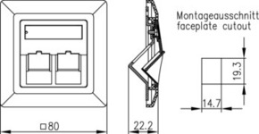 Telegärtner Modul-Aufnahme 2-fach 80x80, aws 100021409