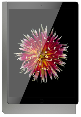 Viveroo iPad Wandhalterung Lack: DarkSteel 510151PD
