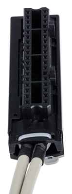 WAGO GmbH & Co. KG Systemleitung f. Rockwell Control Logix 706-4756/301-100