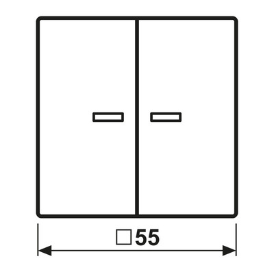 Jung KNX RF Taster 2-fach ch Thermoplast lackiert A 10921 ST RF BF WWM