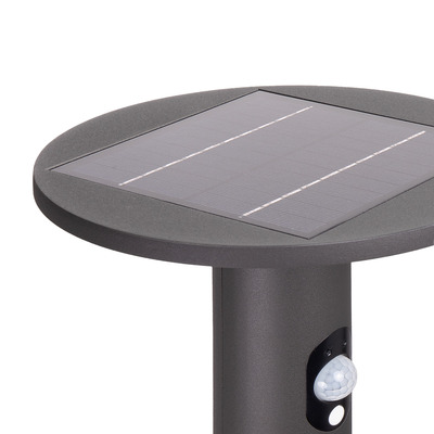 Lichtline LED-Solar-Wegeleuchte 100cm PRDX27795