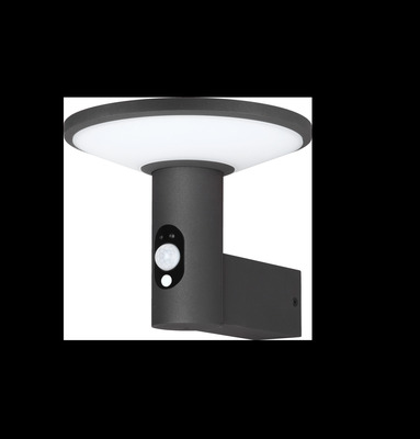 Lichtline LED-Solar-Wandleuchte PRDX27798