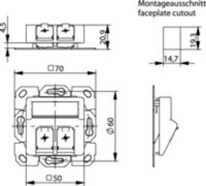 Telegärtner Modul-Aufnahme 2-fach ch UP/50 aws aufbauend 100021417
