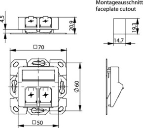 Telegärtner Modul-Aufnahme 2-fach ch UP/50 aws aufbauend 100021417