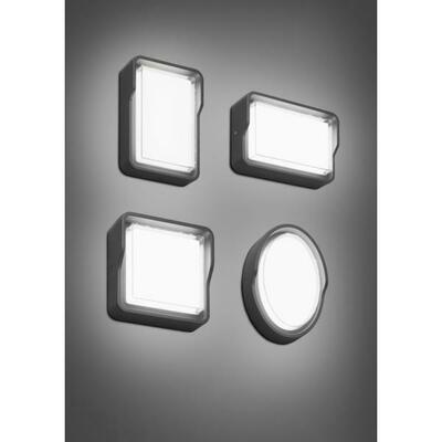 Brumberg Leuchten LED-Wandleuchte 3000K, graphit 10221103