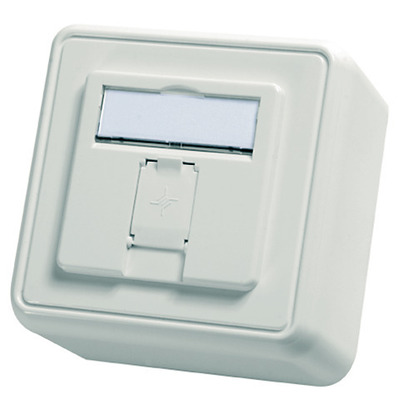 Telegärtner Modul-Aufnahme AP 80x80 1-fach ch aws leer 100021381