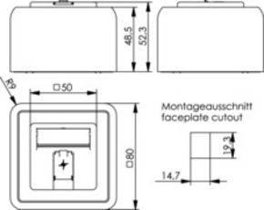 Telegärtner Modul-Aufnahme AP 80x80 1-fach ch aws leer 100021381