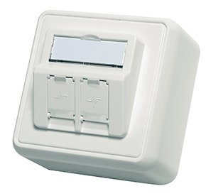 Telegärtner Modul-Aufnahme AP 80x80 2-fach ch aws leer 100021382