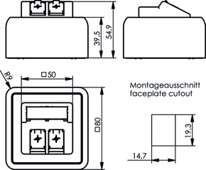 Telegärtner Modul-Aufnahme AP 80x80 2-fach ch aws leer 100021382