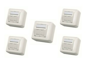 Telegärtner Modul-Aufnahme AP 80x80 2-fach ch aws leer 100021382