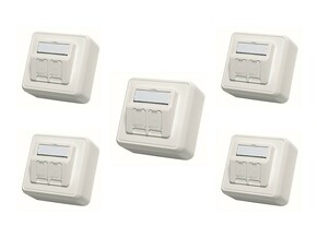 Telegärtner Modul-Aufnahme AP 80x80 2-fach ch aws leer 100021382