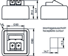 Telegärtner Modul-Aufnahme AP 80x80 2-fach ch aws leer 100021382