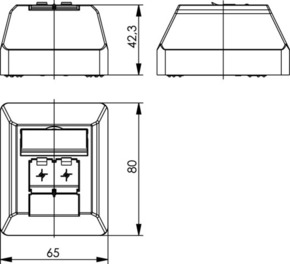 Telegärtner Anschlussdose AMJ45 8/8K Ap Cat6A aws 80x65mm 100023002