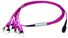 Telegärtner MPO/MTP Aufteilkabl vio 1m MPO PC OM4 SC MM 100010923