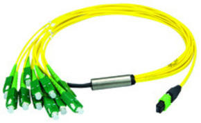 Telegärtner MPO/MTP Aufteilkabel gb 2m MPO APC OS2 12SC SM 100010966