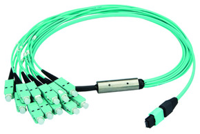 Telegärtner MPO/MTP Aufteilkbl türk 3m MPO PC OM3 LC MM 100011003