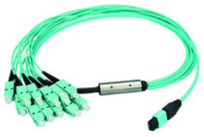 Telegärtner MPO/MTP Aufteilkb.türk 10m MPO PC OM3 LC MM 100011105