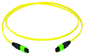 Telegärtner MPO/MTP-Patchkabel gb 25m MPO APC OS2 100011141