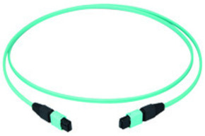 Telegärtner MPO/MTP-Patchkabl türk 90m MPO PC OM3 100011163