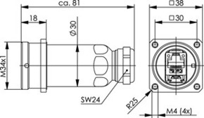 Telegärtner Flanschdose IP68 AMJ-S Modul T568B 100007385